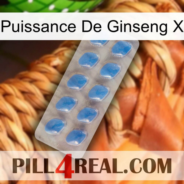 Ginseng Power X 22.jpg